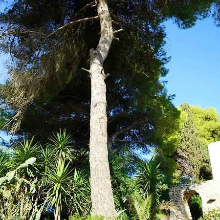 فيلة Elegante Con Piscina Privata In Centro Parco Privato E Massima Privacy Santa Maria di Leuca