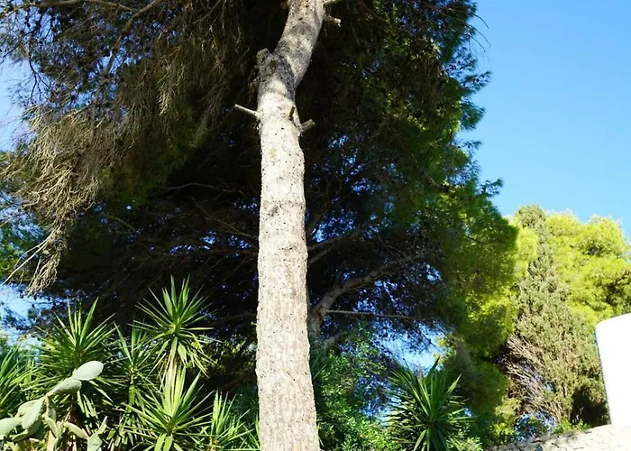 Βίλα Elegante Con Piscina Privata In Centro Parco Privato E Massima Privacy Santa Maria di Leuca