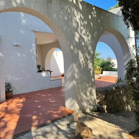 Elegante Con Piscina Privata In Centro Parco Privato E Massima Privacy Santa Maria di Leuca